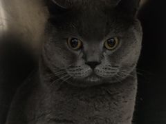 -爱侣宠医·鹦鹉专科·小型哺乳类·异宠专科(灵石路店)