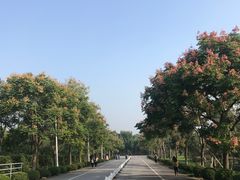 -东华大学(松江校区)