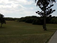 android_upload_pic-鹅銮鼻公园