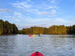 -上海海湾国家森林公园