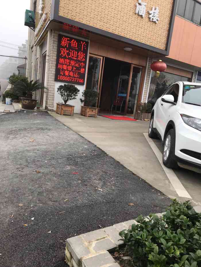 新鱼羊酒楼-"这里的龙轩是真的不错的 我以前在别的地方.
