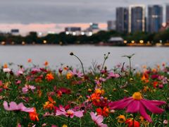 -顺峰山公园