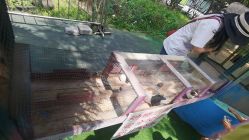 -萌宠亲子动物乐园(槐房万达店)