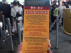 -飞天翼龙