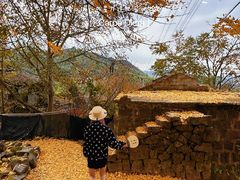 -四明山国家森林公园