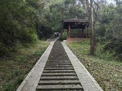 -青龙山国家森林公园