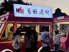 -荷兰花海