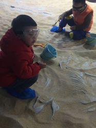 -恐龙探索乐园(磁器口店)