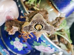 -龙虾风暴(松江店)