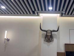 -MARTIN'S BARBER SHOP男士理发馆