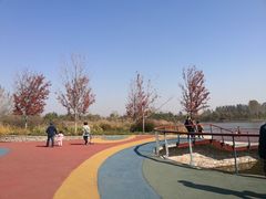 -东郊湿地公园