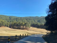 -大浪坝森林公园