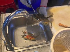 -庆余生平价生猛海鲜(海棠湾林旺夜市店)