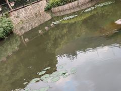 -月亮湾公园