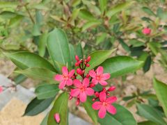 -中国移动南方基地