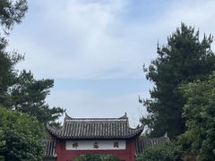 -铁山坪森林公园