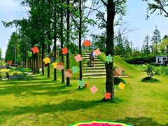 -前小桔亲子创意农场·草莓采摘·露营烧烤