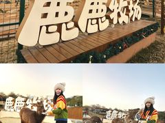 -盈香心动乐园