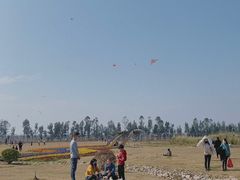 -漩门湾国家湿地公园