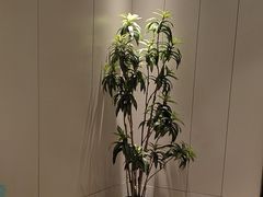-东方威尼斯温泉酒店