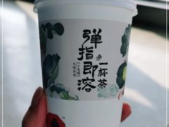 -茶颜悦色(黄花机场店)