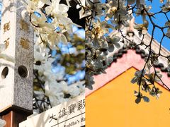 -龙华寺