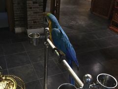 iphone_upload_pic-那家小馆•北京菜•烤鸭(中关村店)