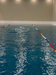 -海豹航航水育游泳中心(芳园里店)