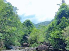 -广州白江湖森林公园