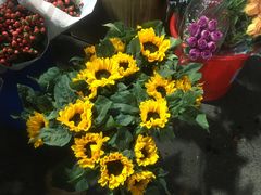 -循礼门鲜花花市(武汉循礼门店)