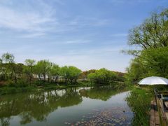 -新江湾城公园