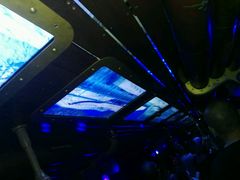 -海洋公园海洋列车－海滨站