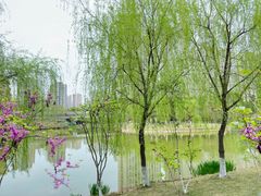 -沐仙湖湿地公园