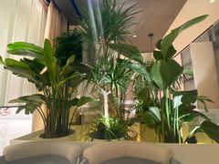 -théATRE 茶聚场(王府中環店)