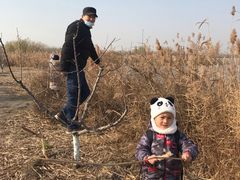 -西青郊野公园