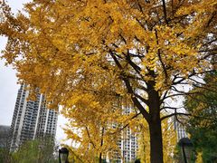 -苏州河梦清园环保主题公园