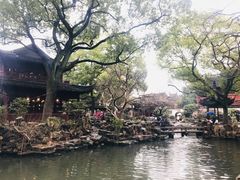 -南八仙·老上海味道(南京东路店)
