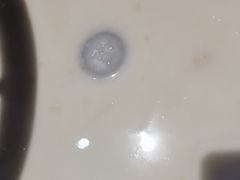 瑶柱白果粥底-渔乐里(智荟城店)