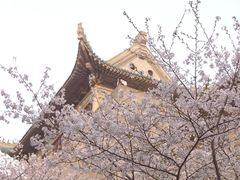 -武汉大学老图书馆