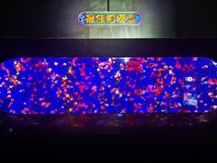 -成都浩海立方海洋公园