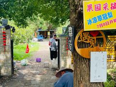 -同里国家湿地公园