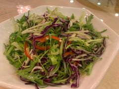 -九花山烤鸭店