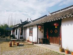 -金山农民画村-枫泾波兰倒置屋