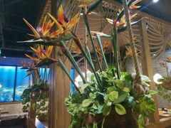 -云海肴·汽锅鸡·云南菜(天津国金汇店)