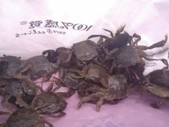 -那琴半岛地质海洋公园