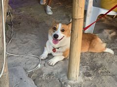 -白沙滩