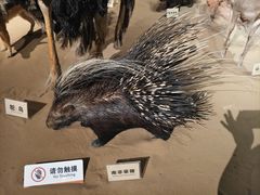 -陕西自然博物馆