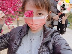 -鬼笑石后山停车场