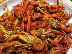 -不炭白烧烤(成都首店)
