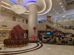 -东华假日酒店自助餐